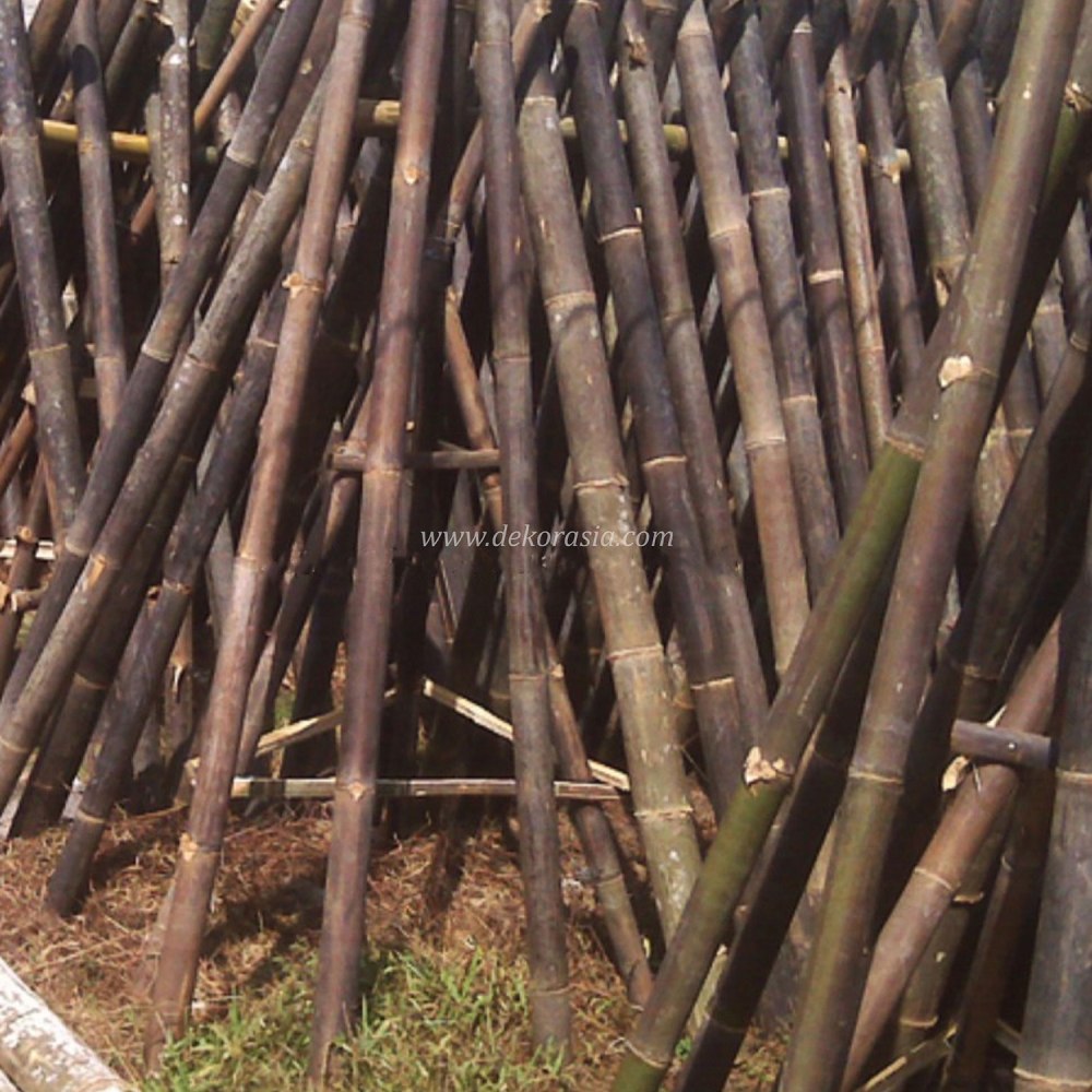 Black Bamboo Poles for Bamboo Fences and Bamboo Panels - Image 5